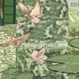 Profile image of 森本慎太郎