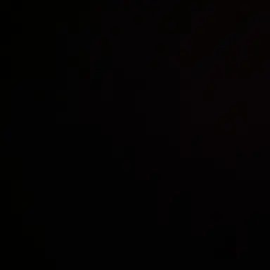 Profile image of 최범규