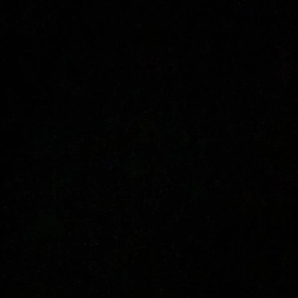 QuaintBongo8551의 백현오
