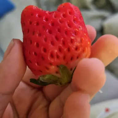 Profile image of 설명 해주는 사람