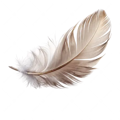 Profile image of 플루마