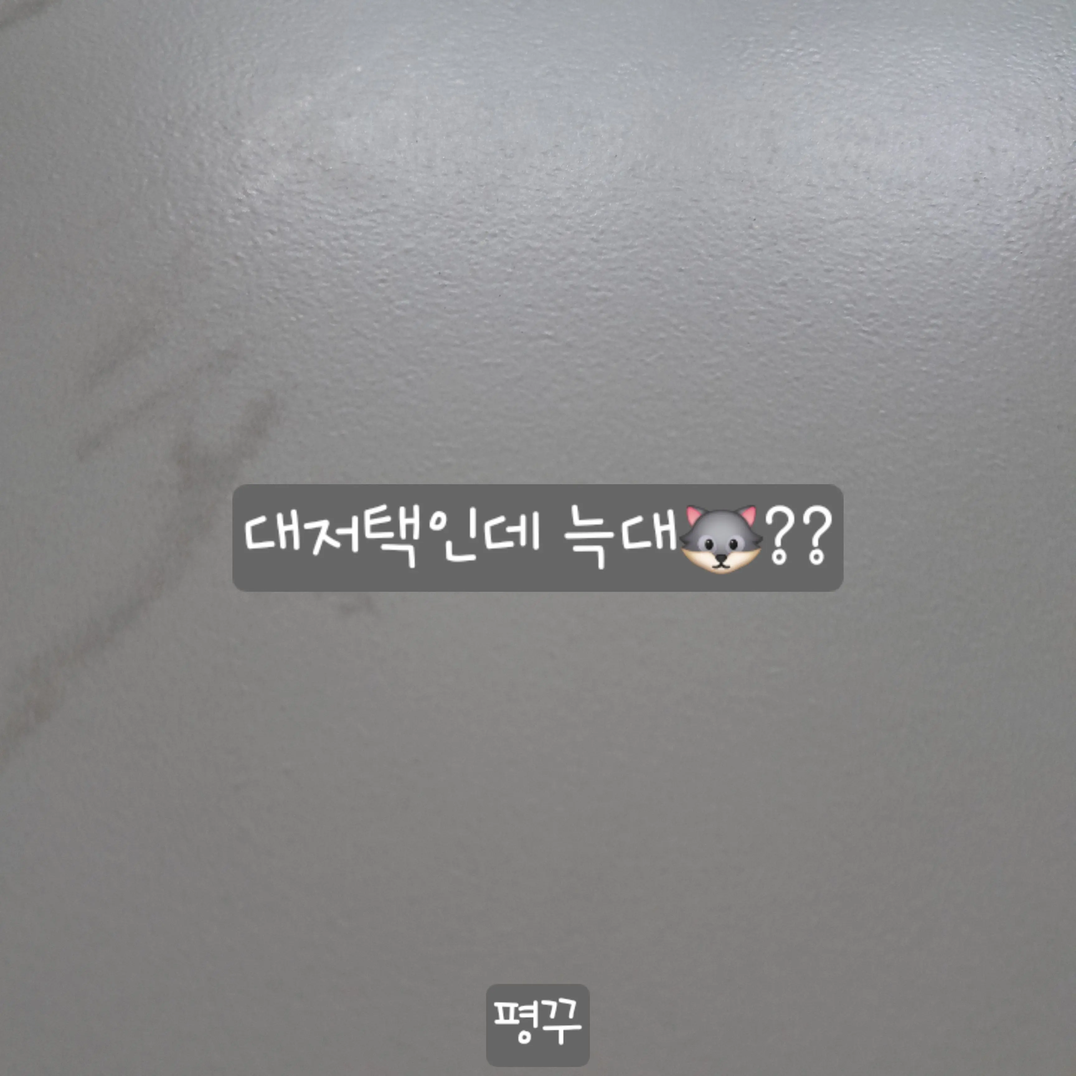 Pyeongkku473의 대저택인데 늑대