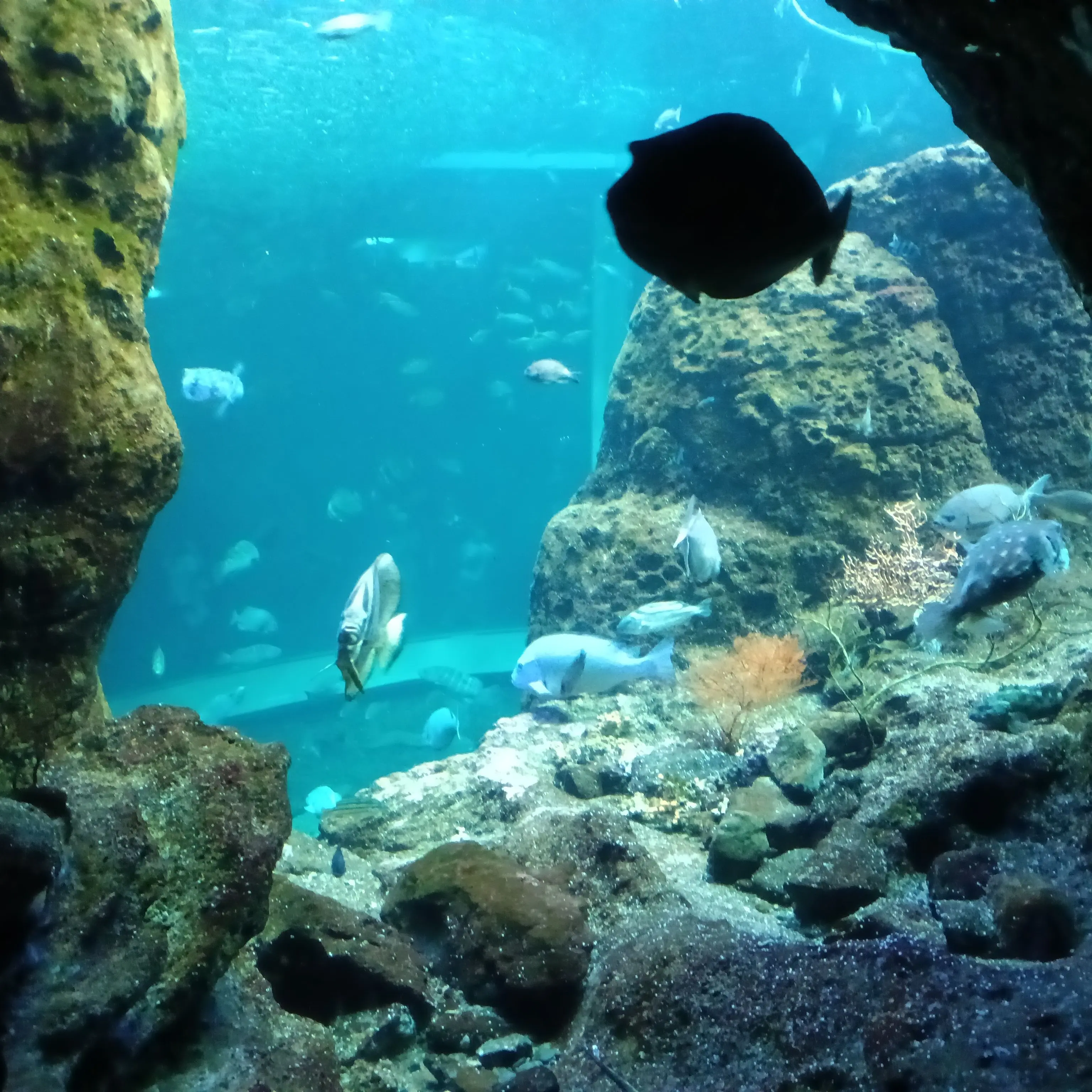BluePast1412의 湯けむりと温泉旅館