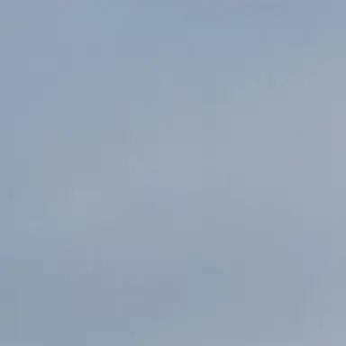 Profile image of 사랑은질병이야