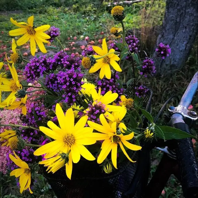 eringyu의 왜 다시 왔어? ···어째서.