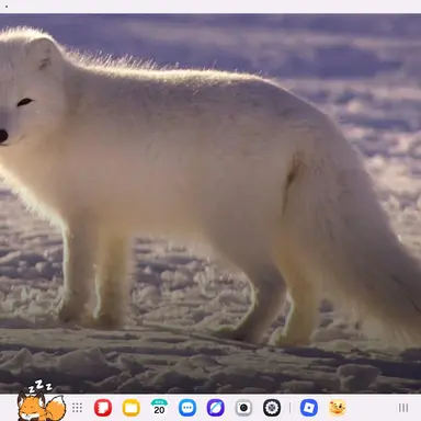 Profile image of 나나