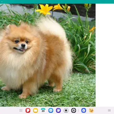 Profile image of 메메