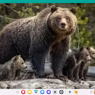 Profile image of 나키