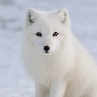 Profile image of 이서