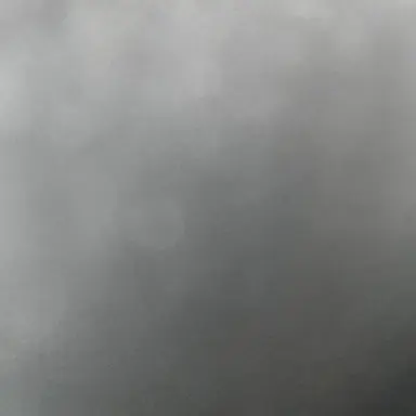 Profile image of 한유진