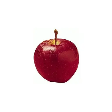 Profile image of 마플
