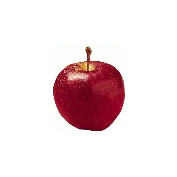 minedappleisapple의 마플