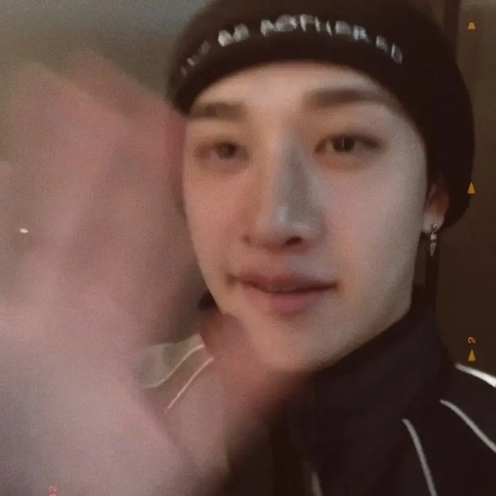 LeanerSleet6611의 방찬