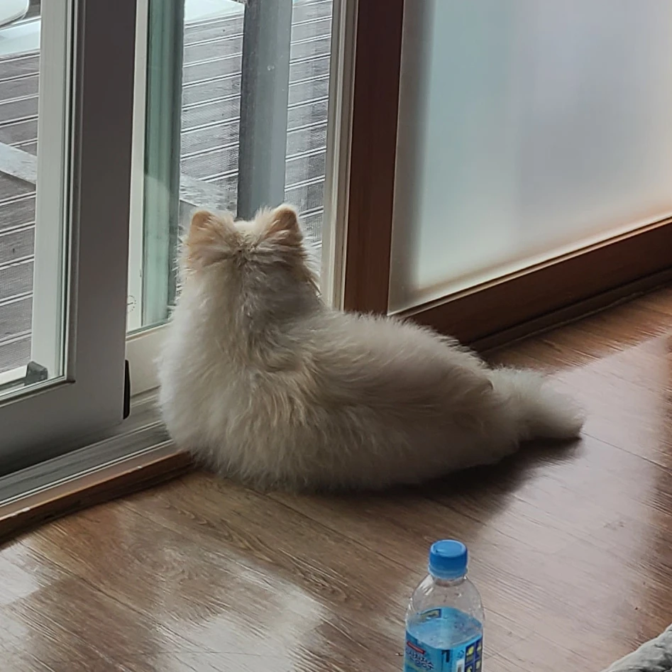 평학