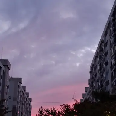Profile image of 우미마 니요먀