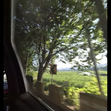 Profile image of 신비아파트