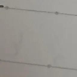 Profile image of リノ