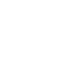 모리