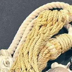 Profile image of 翔吾