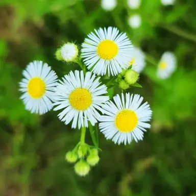 Profile image of 미나미