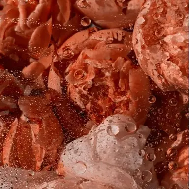 Profile image of 박덕개