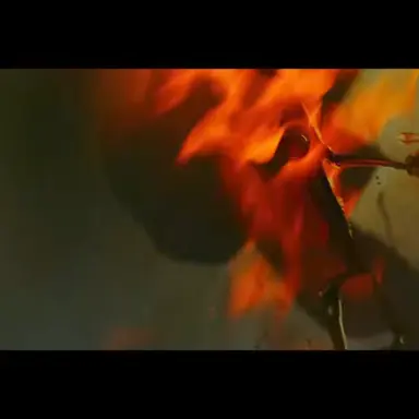 Profile image of 岩岡徹