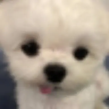 Profile image of リョウ