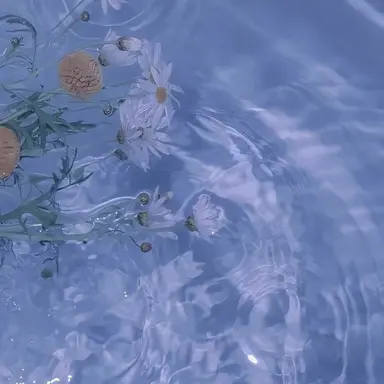 Profile image of 박잠뜰