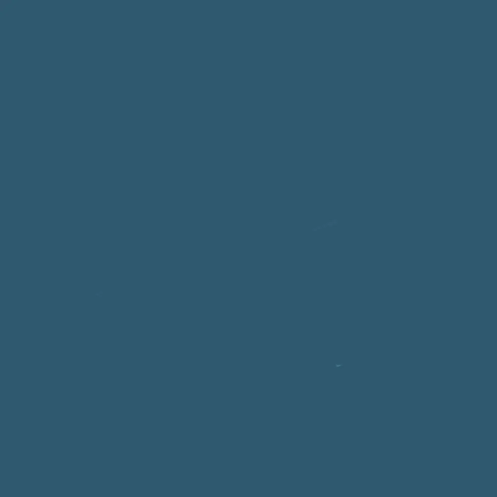 Whitepaper의 -