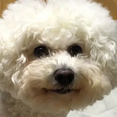 Dh2_won.의 조규현