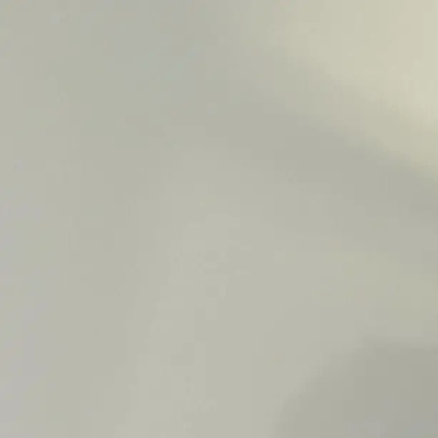 SpongyFlask7943의 한동믽