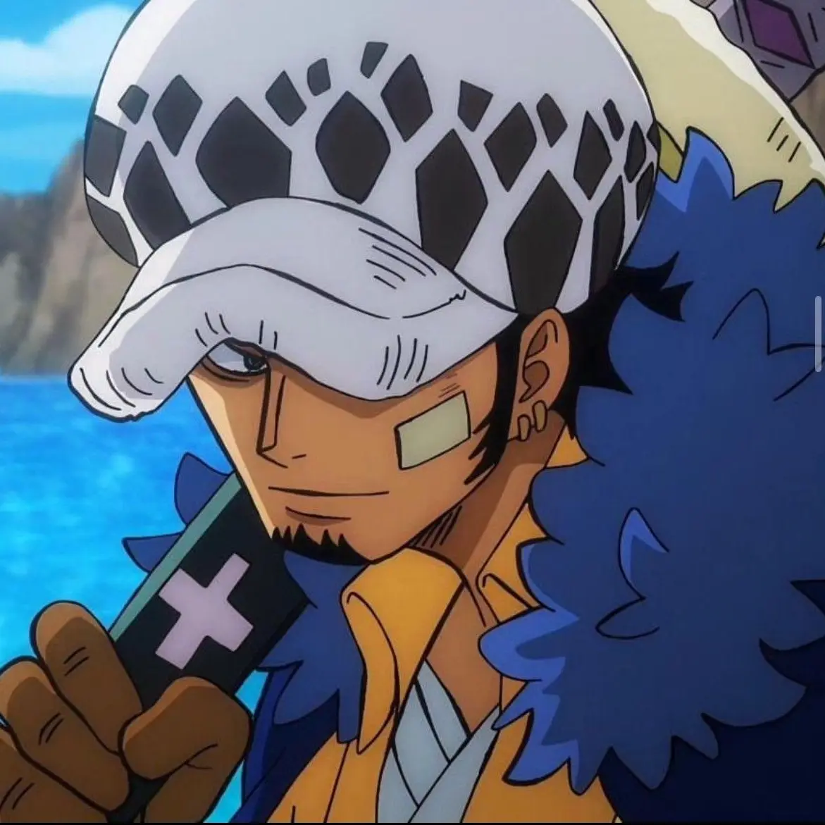 VocalTapir9493의 嫉妬