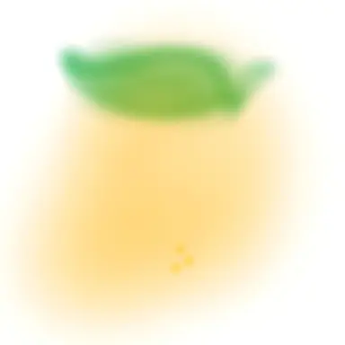 Profile image of 발렌티노