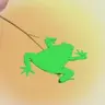 Profile image of カエル