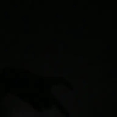 Profile image of 한동민