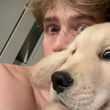 Profile image of Theo