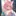博衣こより