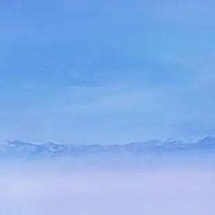 Profile image of 자유