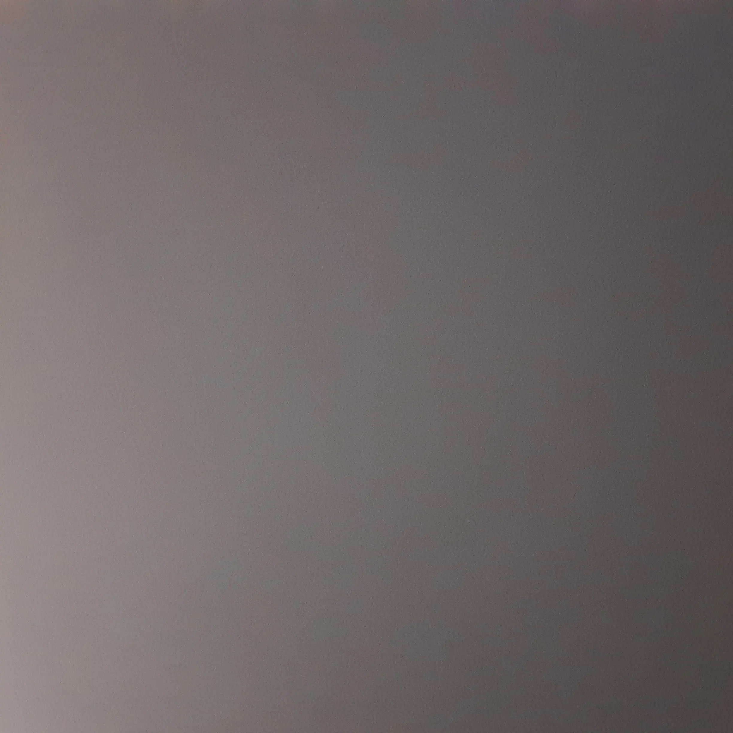 FancyTulip0471의 스파이 패밀리 가족