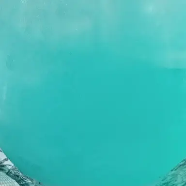 Profile image of 여우