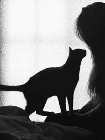 dar_uuish의 Good Boy