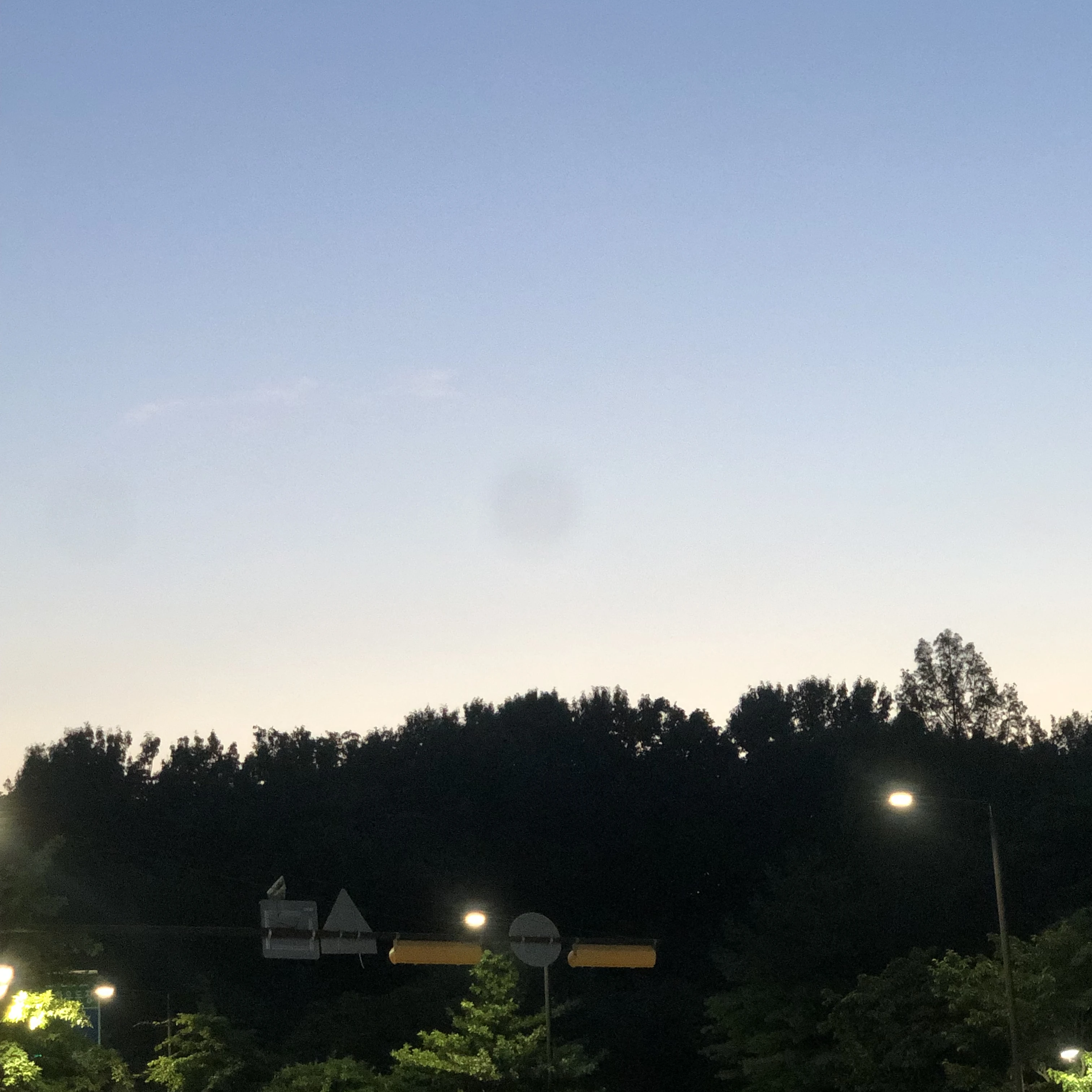 김도혁