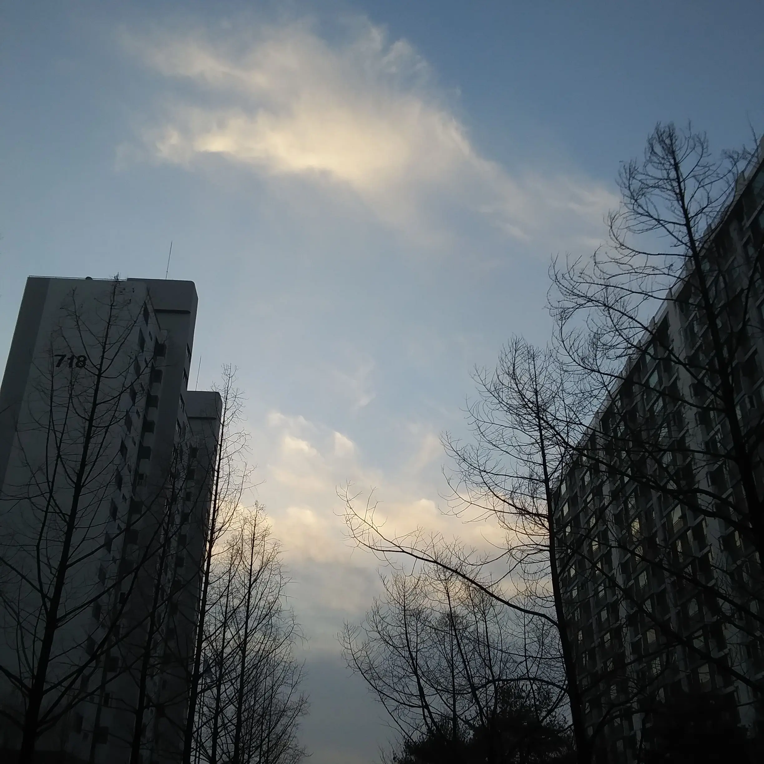 IvoryJuice7709의 05