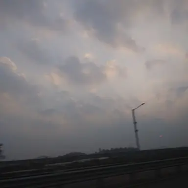 Profile image of 펄만