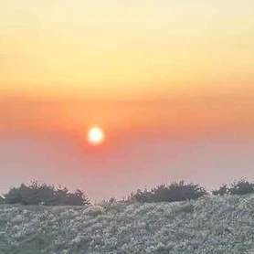 김채원