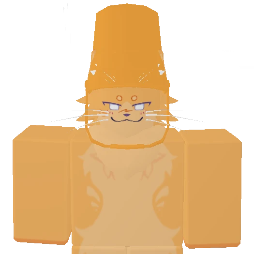 캐트