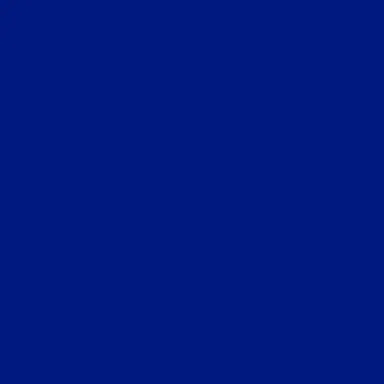 Profile image of 夏油 傑
