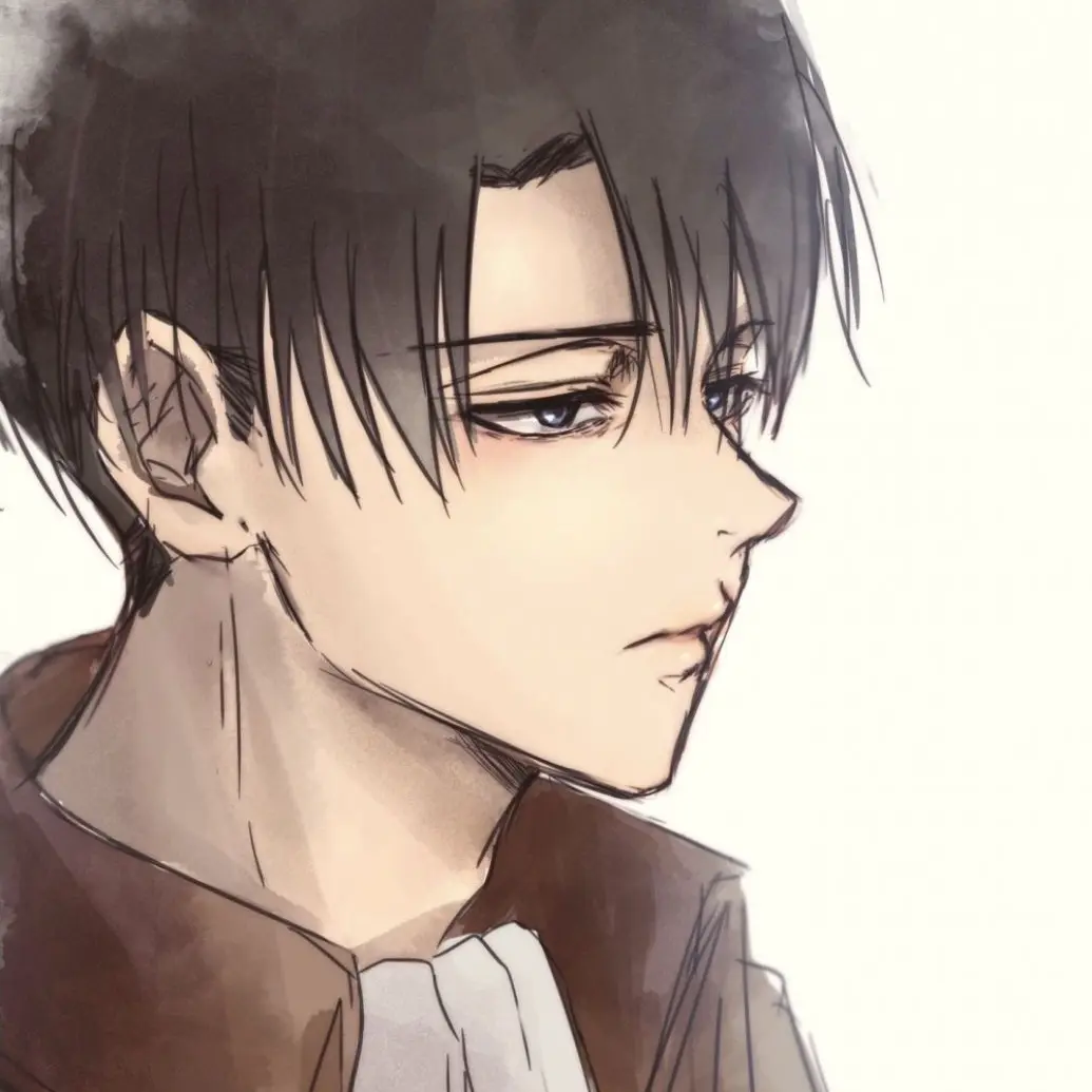 NiceTear9549의 리바이 아커만