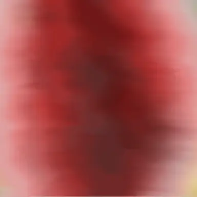 Profile image of 大森