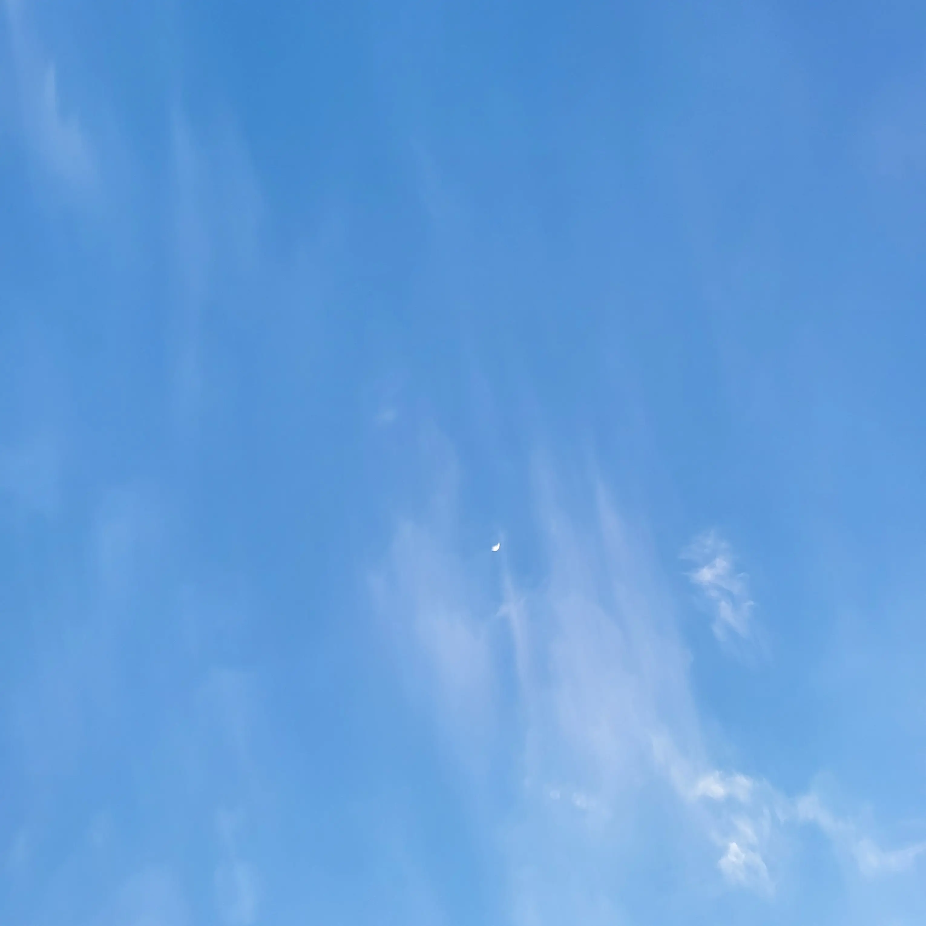 DirtyCoach8977의 리바운드(복싱편)